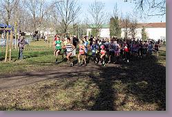 Begles 15.12.13 01 483 * 679 x 453 * (188KB)